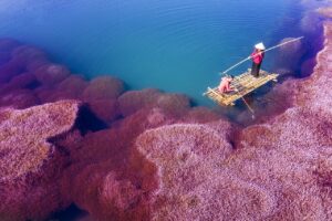 日勤のみの看護師が委員会が少ない職場で働くメリットは？