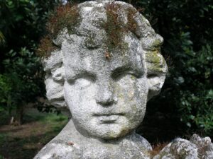 特定保健指導の看護師になるにはどんな資格が必要ですか？