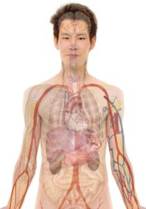 看護師の面接で聞くべき看護部長の方針と価値観とは？