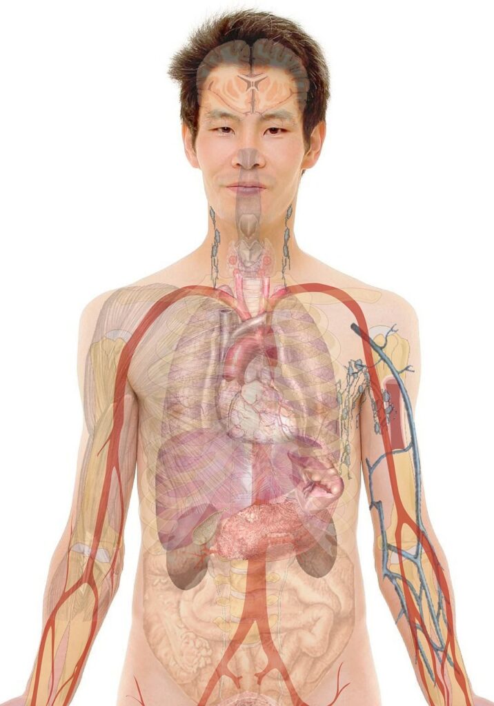 看護師の面接で聞くべき看護部長の方針と価値観とは？